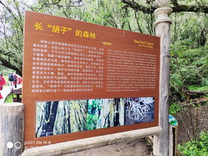 七彩云南，心靈之旅 探秘銅瓦古韻